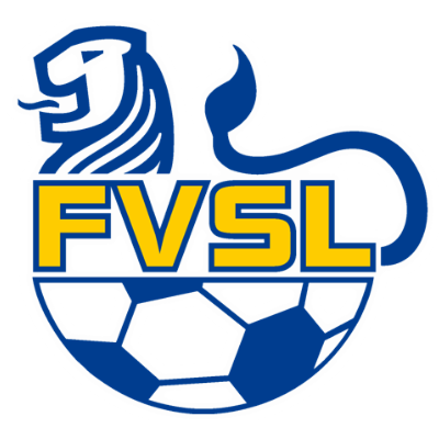 fvsl logo tgs webdesign leipzig 5